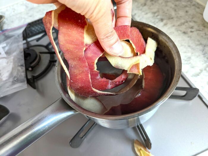 この手があったか！リンゴの皮はすぐ冷凍or乾燥が正解♪家事にメチャ使える便利アイテムに