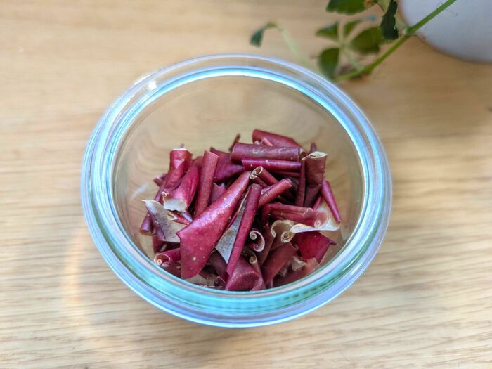 この手があったか！リンゴの皮はすぐ冷凍or乾燥が正解♪家事にメチャ使える便利アイテムに