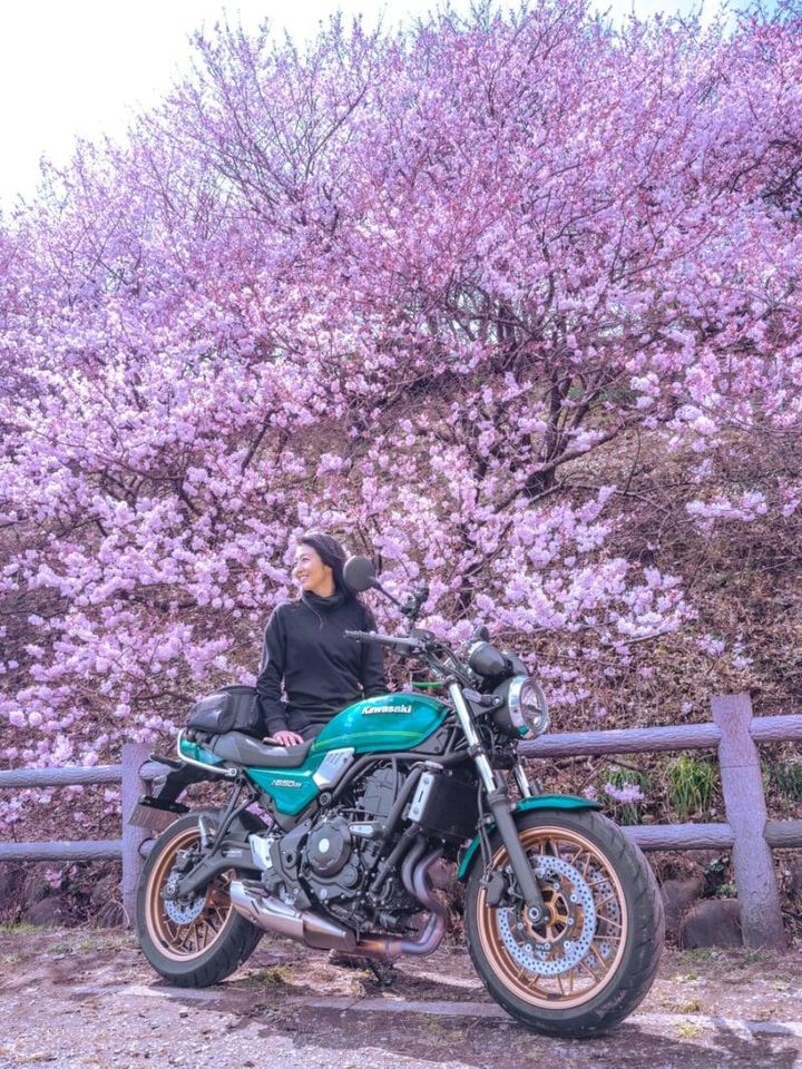 まずは、都心から１時間の南足柄市『春めき桜』へ