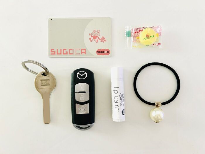 【セリア】ミニサイズのペンケースではありません！見た目以上の活躍ぶりで大絶賛♪