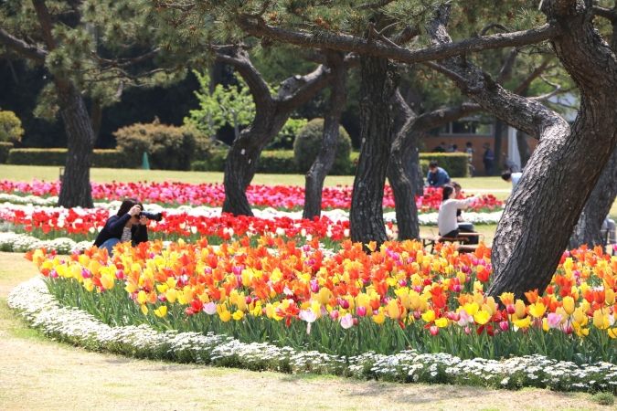 海の中道フラワーピクニック2026 チューリップ