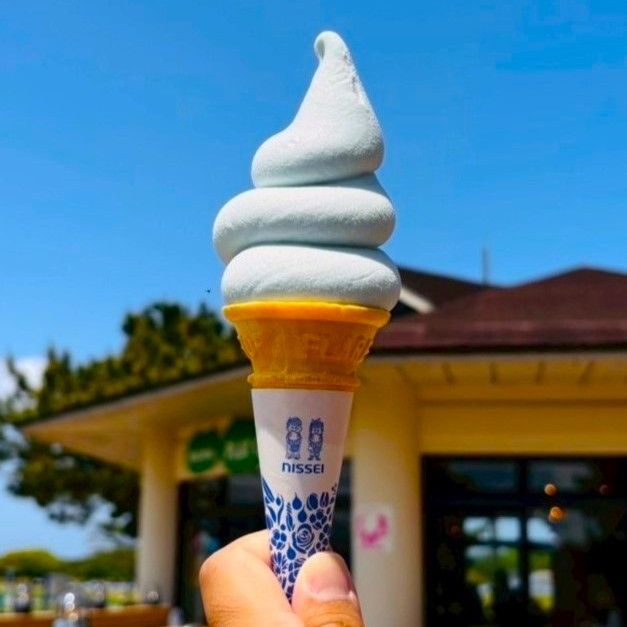 海の中道フラワーピクニック2026 ネモフィラソフト