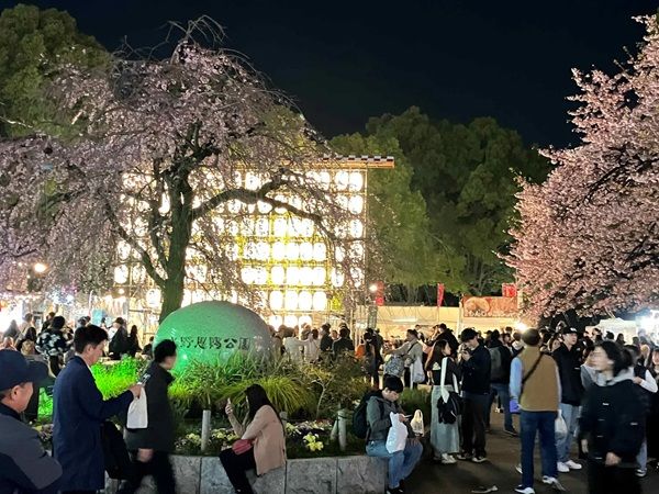 【東京都台東区】全国のご当地グルメとエンタメを楽しめる「うえの桜フェスタ2026」開催中