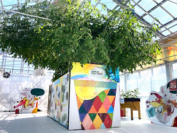 【長野県富士見町】「カゴメ野菜生活ファーム富士見」がリニューアル！今季の営業をスタート