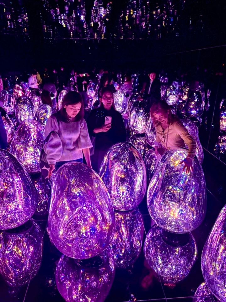 チームラボ バイオヴォルテックス京都