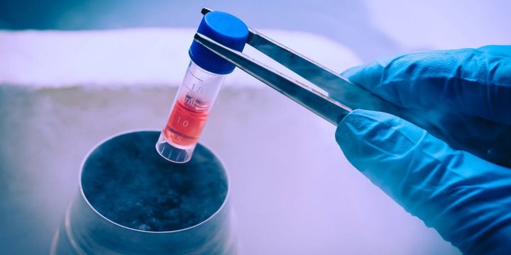 凍った脳は本当に戻るのか――マウスで見えた驚きの答え