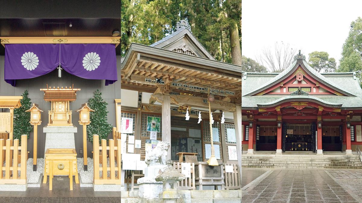 神様が見ている「いい景色」にあやかる。東京ならではの神社3選 | TRILL【トリル】