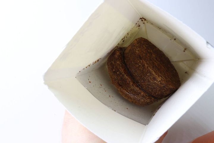 栽培セット まんまるにんじん 圧縮土