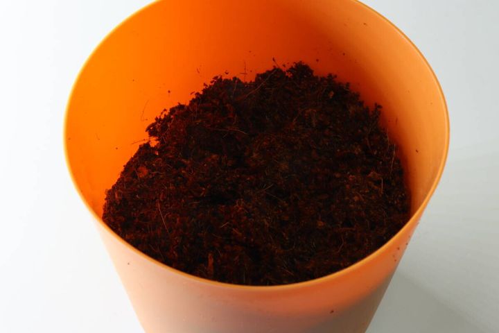 栽培セット まんまるにんじん ポット