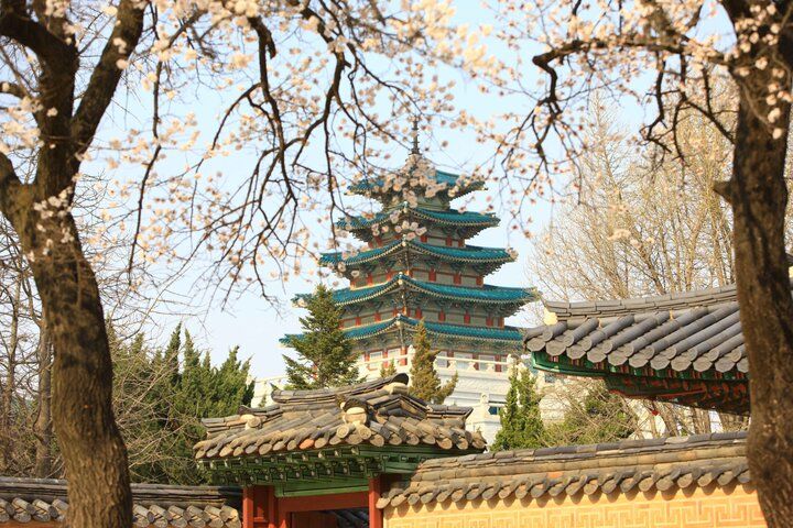 韓国・ソウルにも春が到来。お花見も、おいしいグルメも。春のソウルの楽しみ方