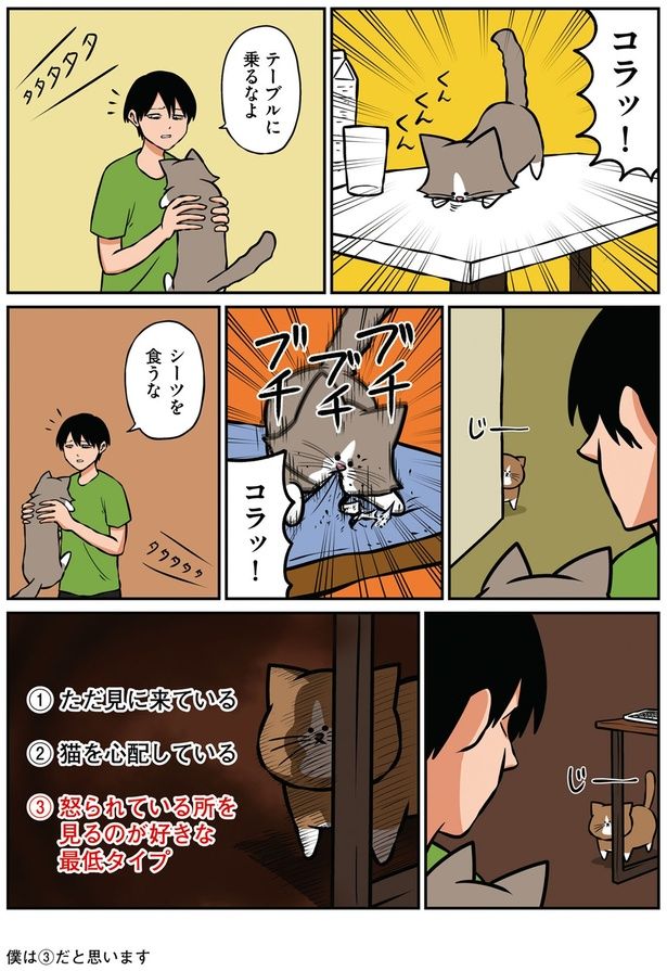 コラッ！ （C）鴻池剛／KADOKAWA