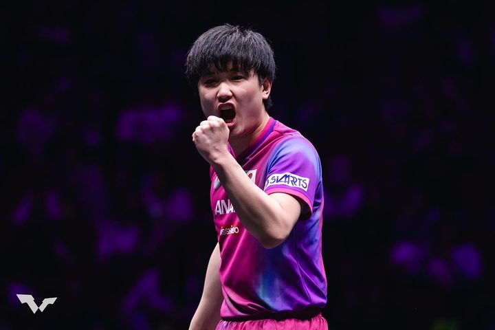 張本智和（C）WTT