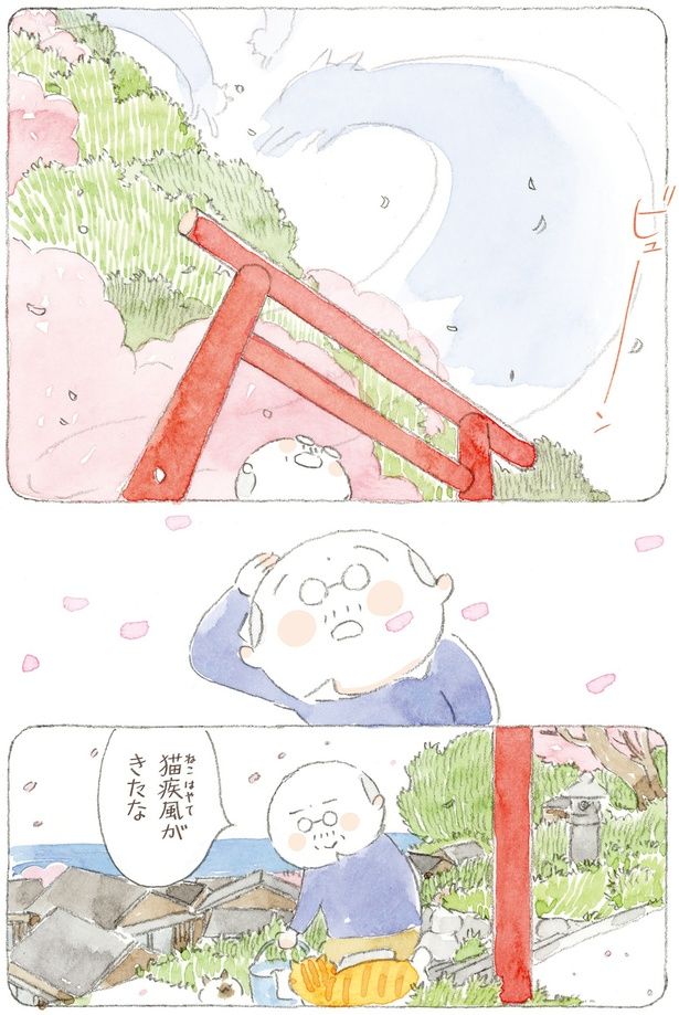 猫疾風がきたな （C）ねこまき(ミューズワーク)／KADOKAWA