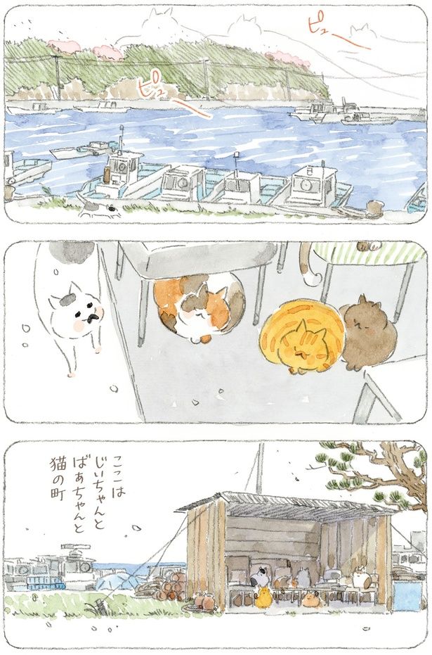 ここはじいちゃんとばあちゃんと猫の町 （C）ねこまき(ミューズワーク)／KADOKAWA