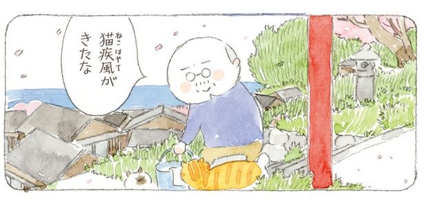 猫疾風がきたな （C）ねこまき(ミューズワーク)／KADOKAWA