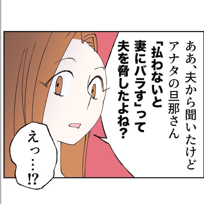 抱きたいのは妻じゃない！不倫は夫婦の文化だろ／ネギマヨ