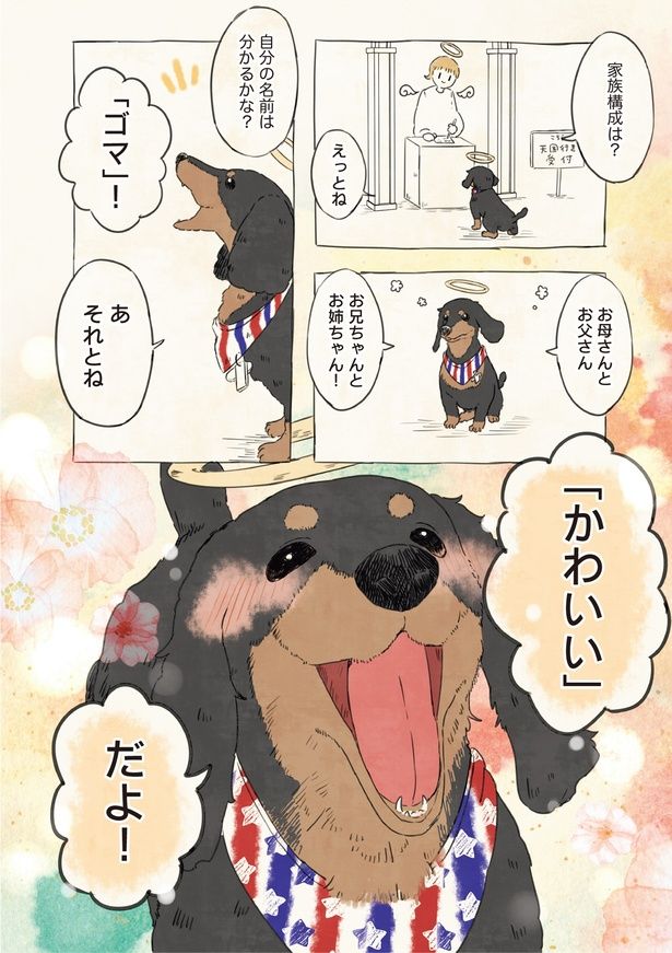 自分の名前は分かるかな？ (C)桜プリン／KADOKAWA