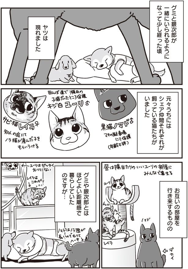 ヤツは現れました (C)真希 ナルセ／KADOKAWA