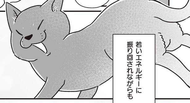 若いエネルギーに振り回されながらも (C)真希 ナルセ／KADOKAWA