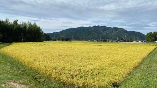 火・水・電気不要！開けた瞬間にふっくらした米が食べられる備蓄食「米缶」予約販売中