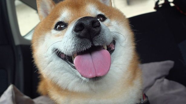 解放感で満面の笑みを見せるはちくん