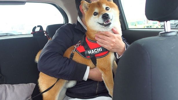 名前が呼ばれるまで、車の中で待つ