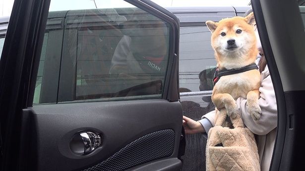 はちくんの番が来て、ついに病院へ！