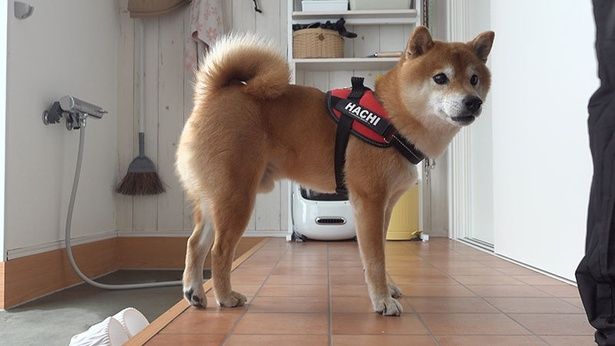 なんだか嫌な予感がしながらも、出かける準備をしていく