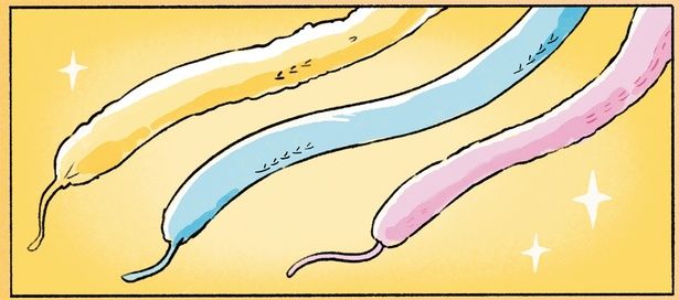 完成したけど…？ （C）ペンギンボックス／KADOKAWA