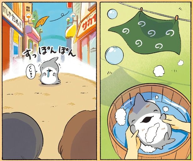 すっぽんぽん （C）ペンギンボックス／KADOKAWA