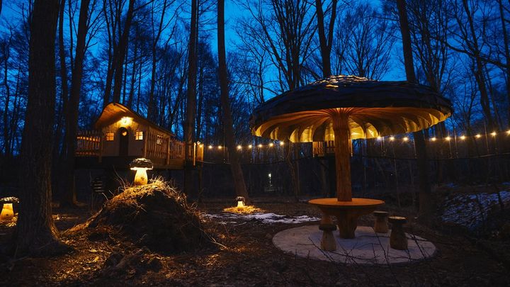 北軽井沢に“プライベートサウナ付きヴィラ”誕生！ 森に囲まれたツリーハウスも併設 width=