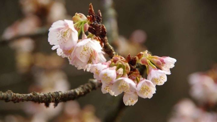 入学してからの気付き（画像はphotoAC）