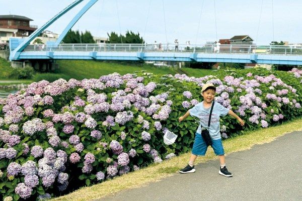 「グリッド線」を表示させるとさらにゆがみにくい