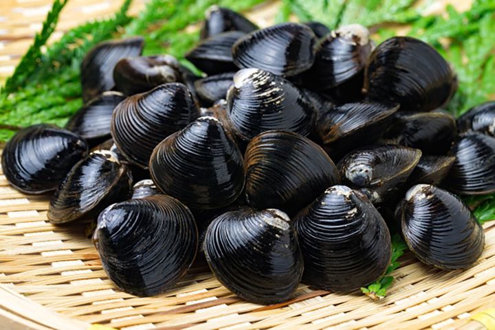 シジミには肝機能を助けるオルニチンやタウリン、貧血予防に役立つビタミンB12などの栄養が凝縮されています。