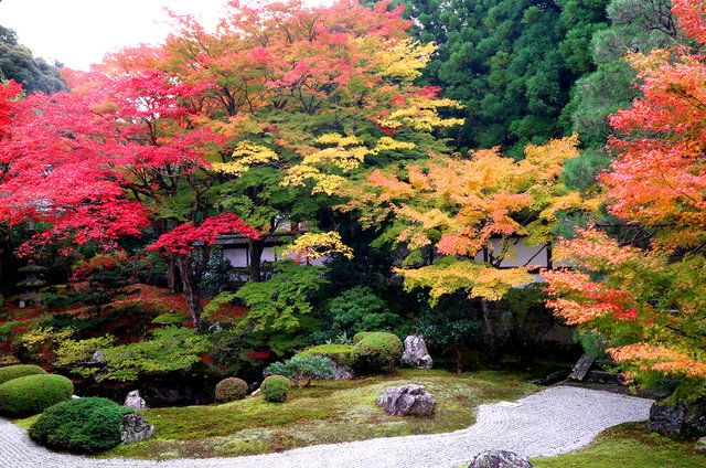 秋の御座所庭園