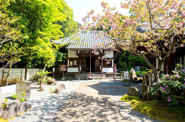 泉涌寺公式サイト (305099)