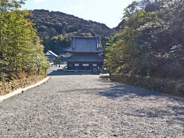 泉涌寺の特徴的な「降り参道」