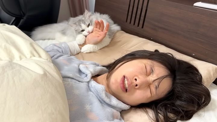飼い主さんを噛んで起こす子猫