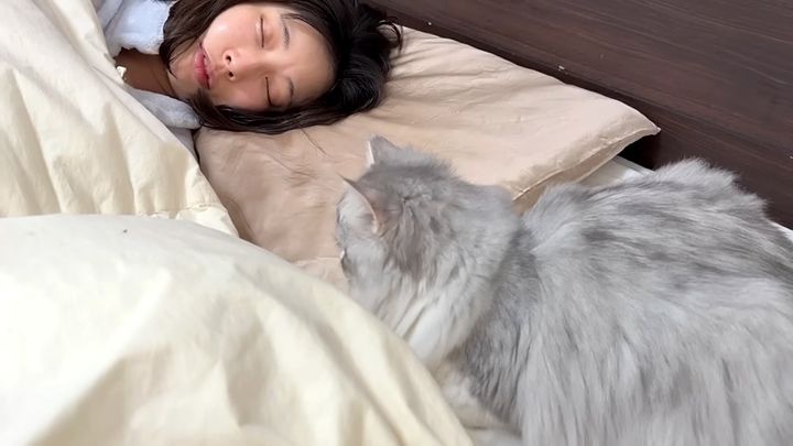 飼い主さんのベッドに来た子猫