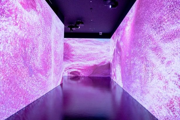 ゾーン1の「うつろう四季の彩り」では、桜の花びらが舞い散る幻想的な世界に包まれる