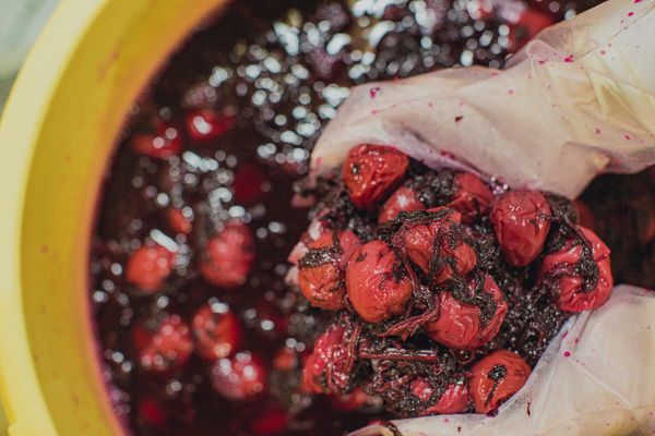 【和歌山県みなべ町】規格外の南高梅と天日塩だけで作られる新食感おやつ「うめぼちっぷす」発売！