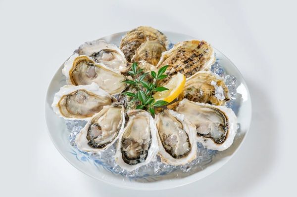 【佐賀県伊万里市】伊万里牛の振る舞いや福引など盛りだくさん！「道の駅伊万里」リニューアル1周年祭