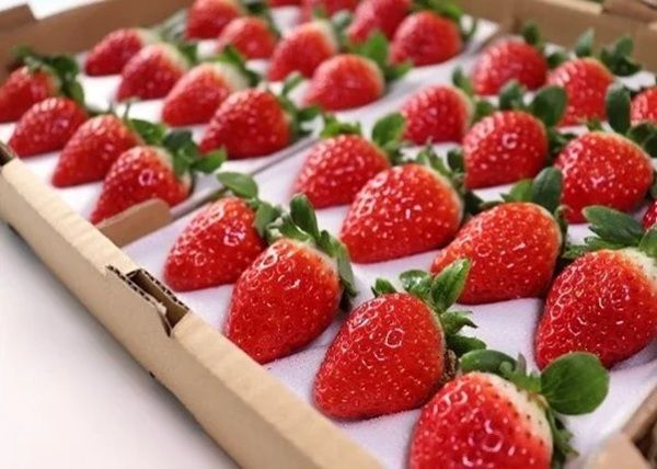 【佐賀県伊万里市】伊万里牛の振る舞いや福引など盛りだくさん！「道の駅伊万里」リニューアル1周年祭