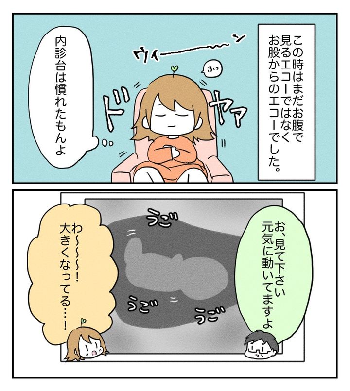 不妊治療で妊娠した私の妊娠記録／kiki