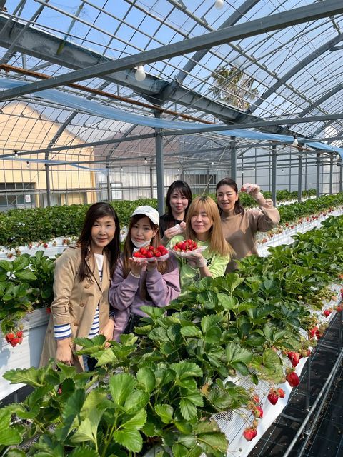 さくらファーム いちご狩り