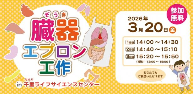 【画像】3月20日開催の「臓器エプロン工作」。子どもから大人まで参加できる