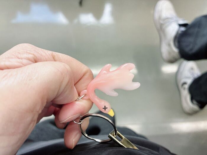 【セリア】謎のアヒルをバッグに付けておくと→ある変化が！実はこれから大活躍のアイテムなんです。