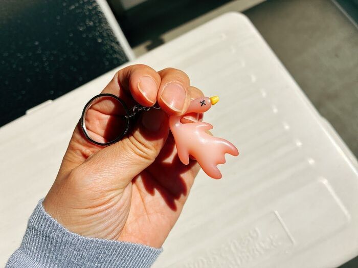 【セリア】謎のアヒルをバッグに付けておくと→ある変化が！実はこれから大活躍のアイテムなんです。