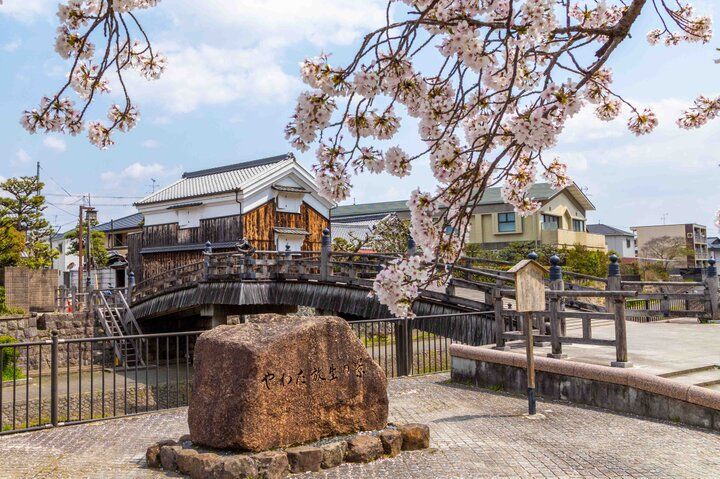 京都・八幡市 背割堤のどこまでも続く桜並木をおさんぽ♪ ご利益めぐりや門前菓子も