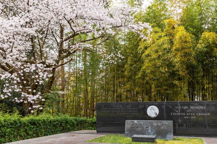 京都・八幡市 背割堤のどこまでも続く桜並木をおさんぽ♪ ご利益めぐりや門前菓子も